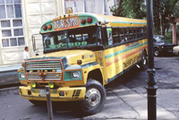 Schoolbus - Schülertransport