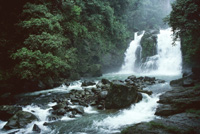 Wasserfall Nauyaca - Dominical